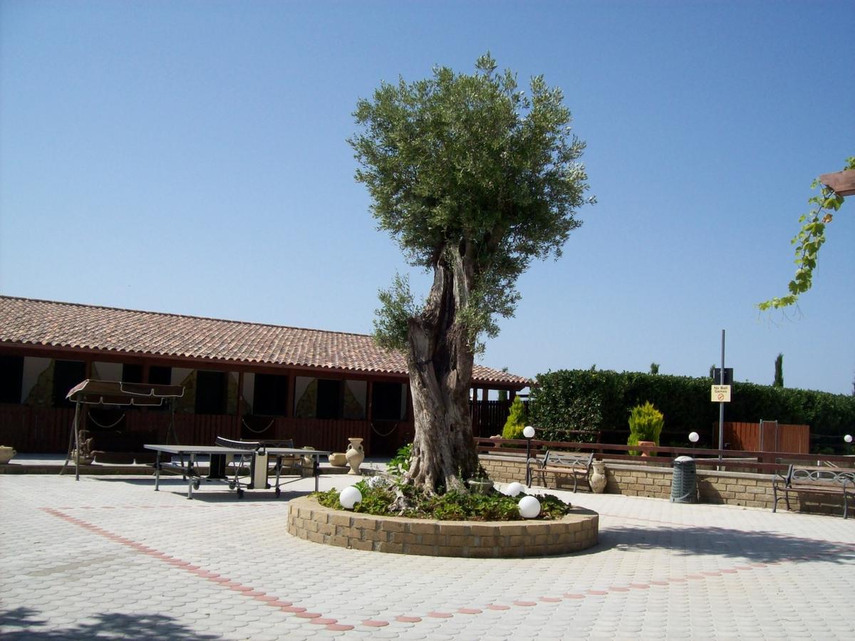 Willa Il Vivaio Tarquinia Zewnętrze zdjęcie