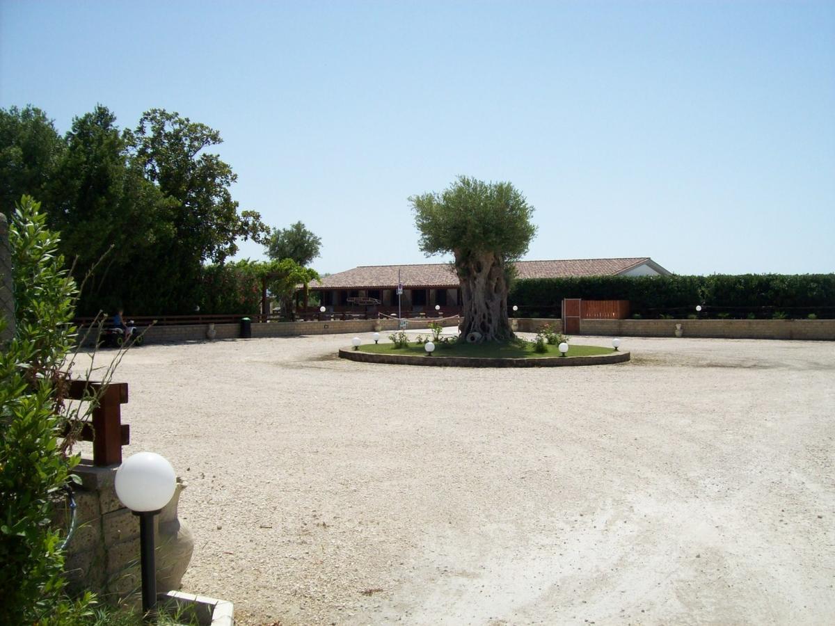 Willa Il Vivaio Tarquinia Zewnętrze zdjęcie